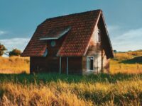 brown house on field