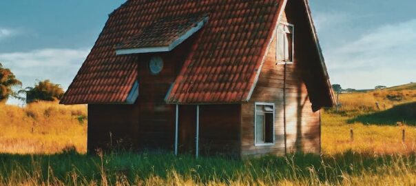 brown house on field