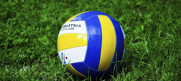 Closeup on volleyball in grass