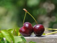 close up photography of a red cherry fruit