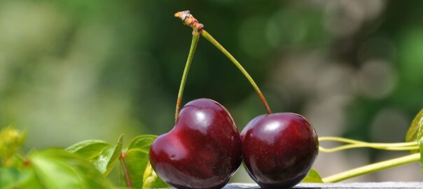 close up photography of a red cherry fruit